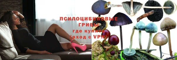 ешки Дмитровск