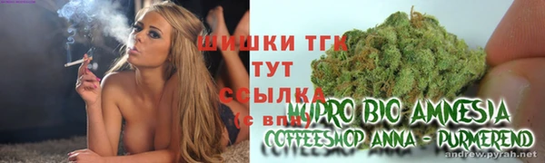 mix Ельня