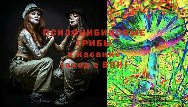 ешки Дмитровск