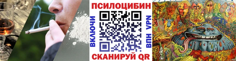 Псилоцибиновые грибы ЛСД  сколько стоит  shop клад  Новосибирск 